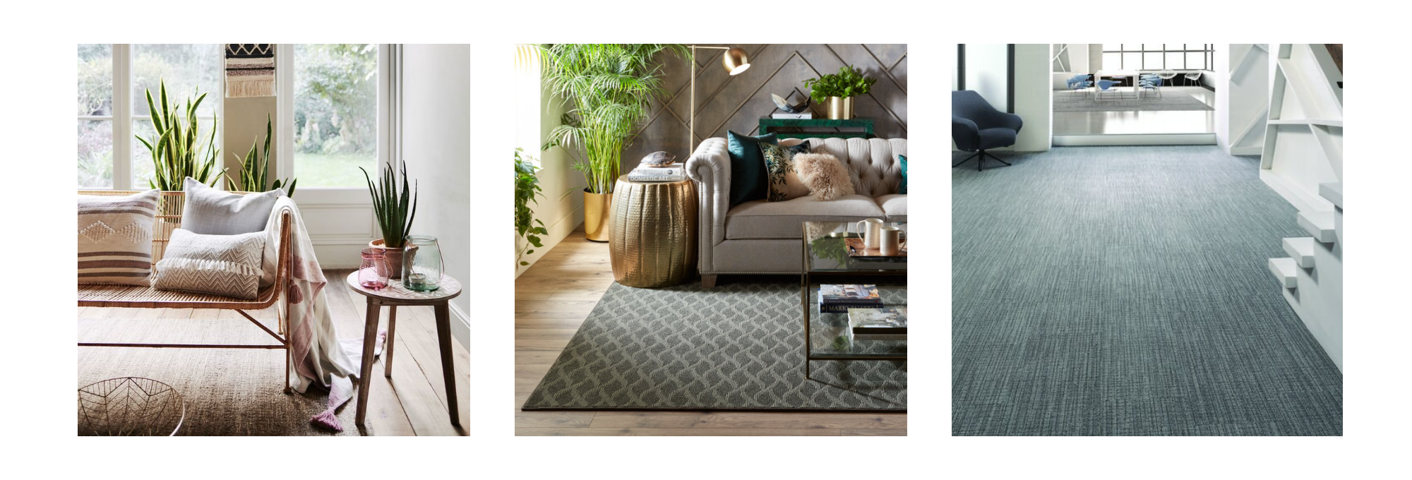 Decorative-Banner-2000x680